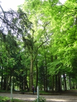 2012-06-05 007
